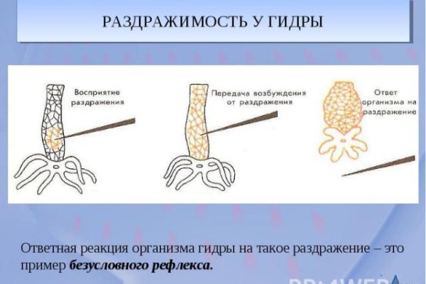 Украли аккаунт на кракене что делать