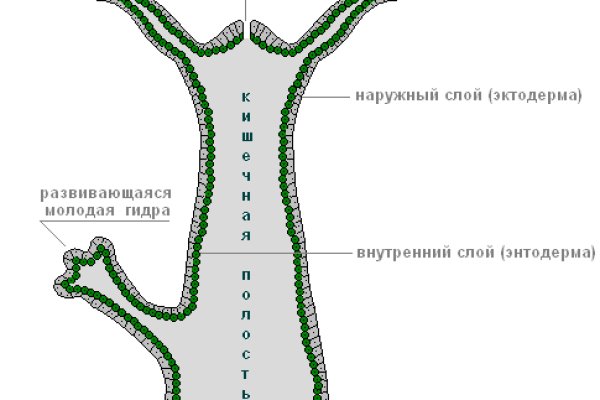 Маркетплейс кракен купить