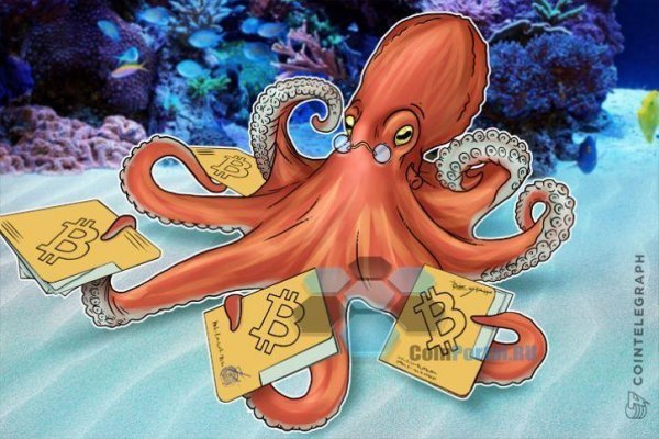 Kraken найдется все