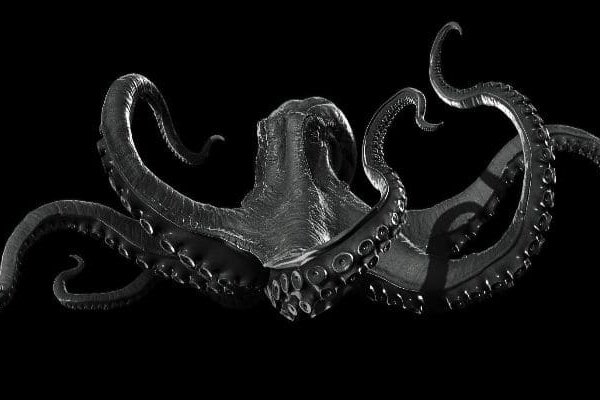 Hydra kraken