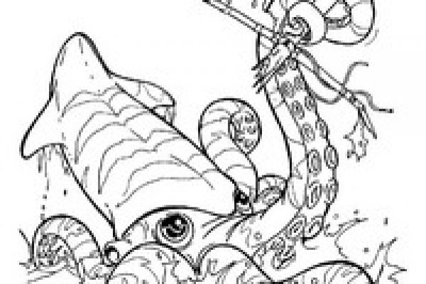 Kraken link