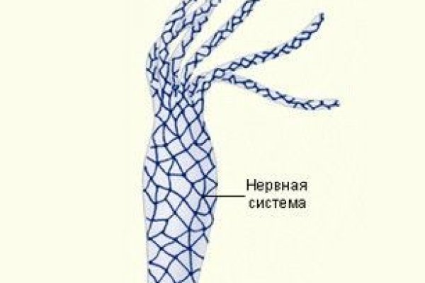 Украли аккаунт на кракене даркнет