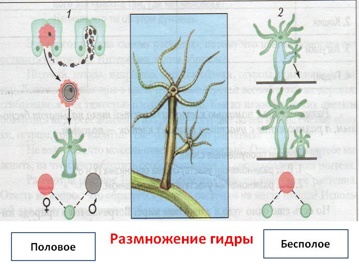 2krn ссылка